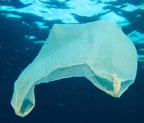 plastic bag in ocean